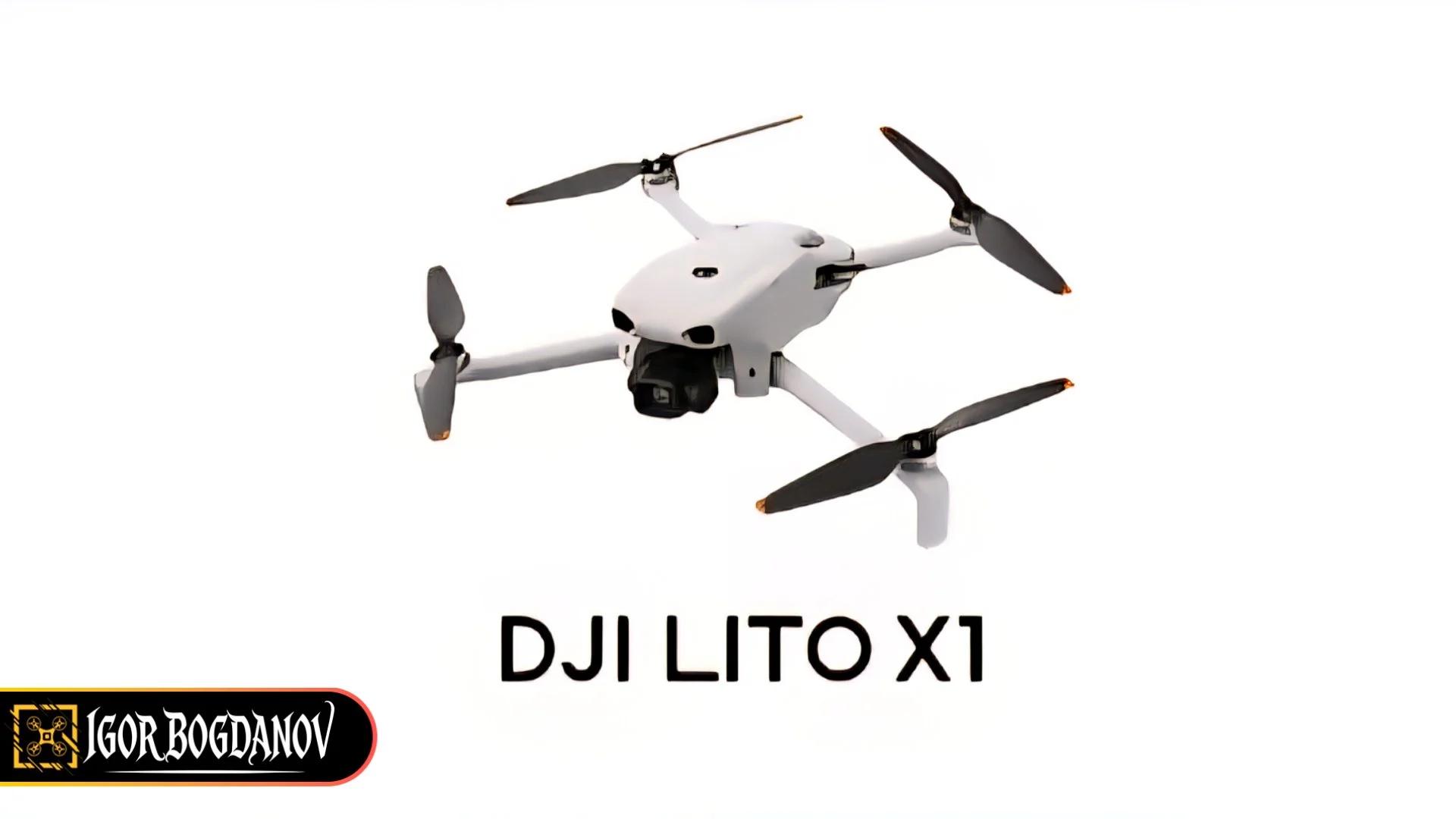 DJI Lito 1 And X1: From A Leg To The Full Picture
