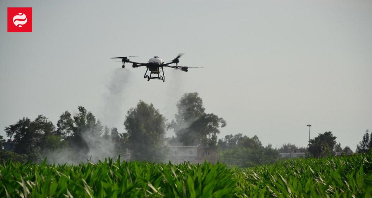 Turkish manufacturer of agrodrones wants to replace Chinese DJI in Europe - Liga.biz.