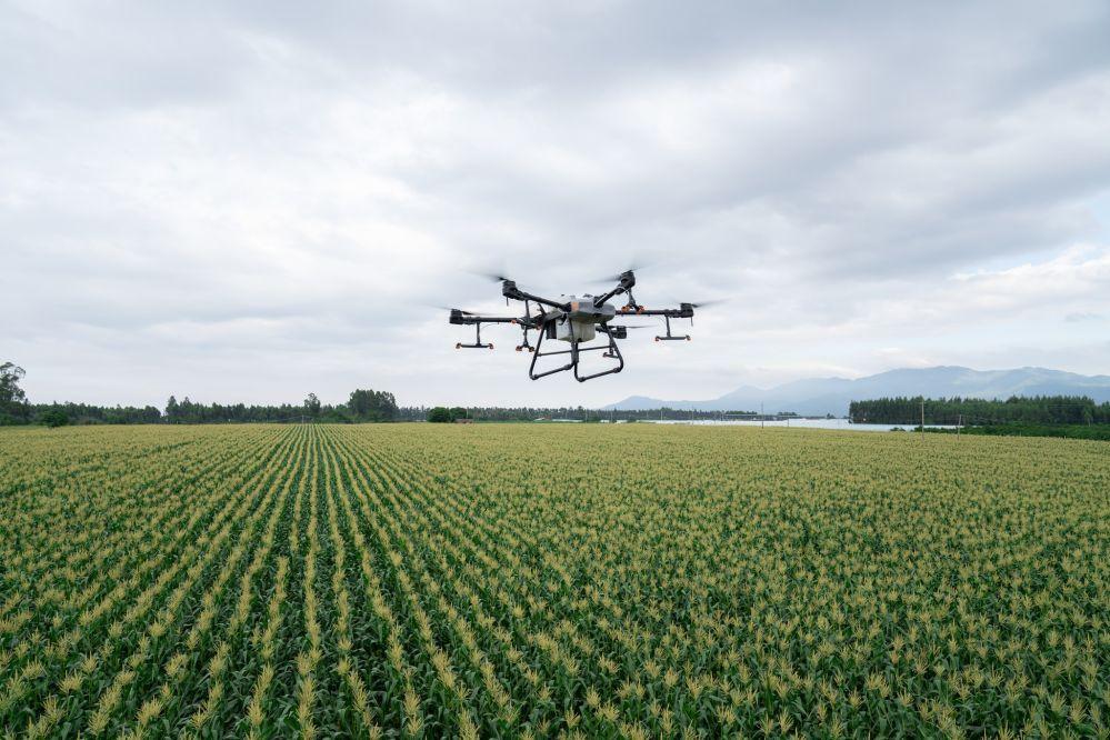 DJI: FCC action could wipe out $1.5bn in US drone sales in 2026 - AgFunderNews