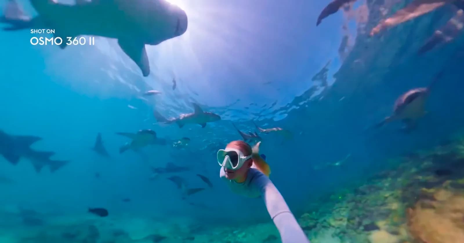 DJI Teases Osmo 360 II With Footage From the New Camera - PetaPixel
