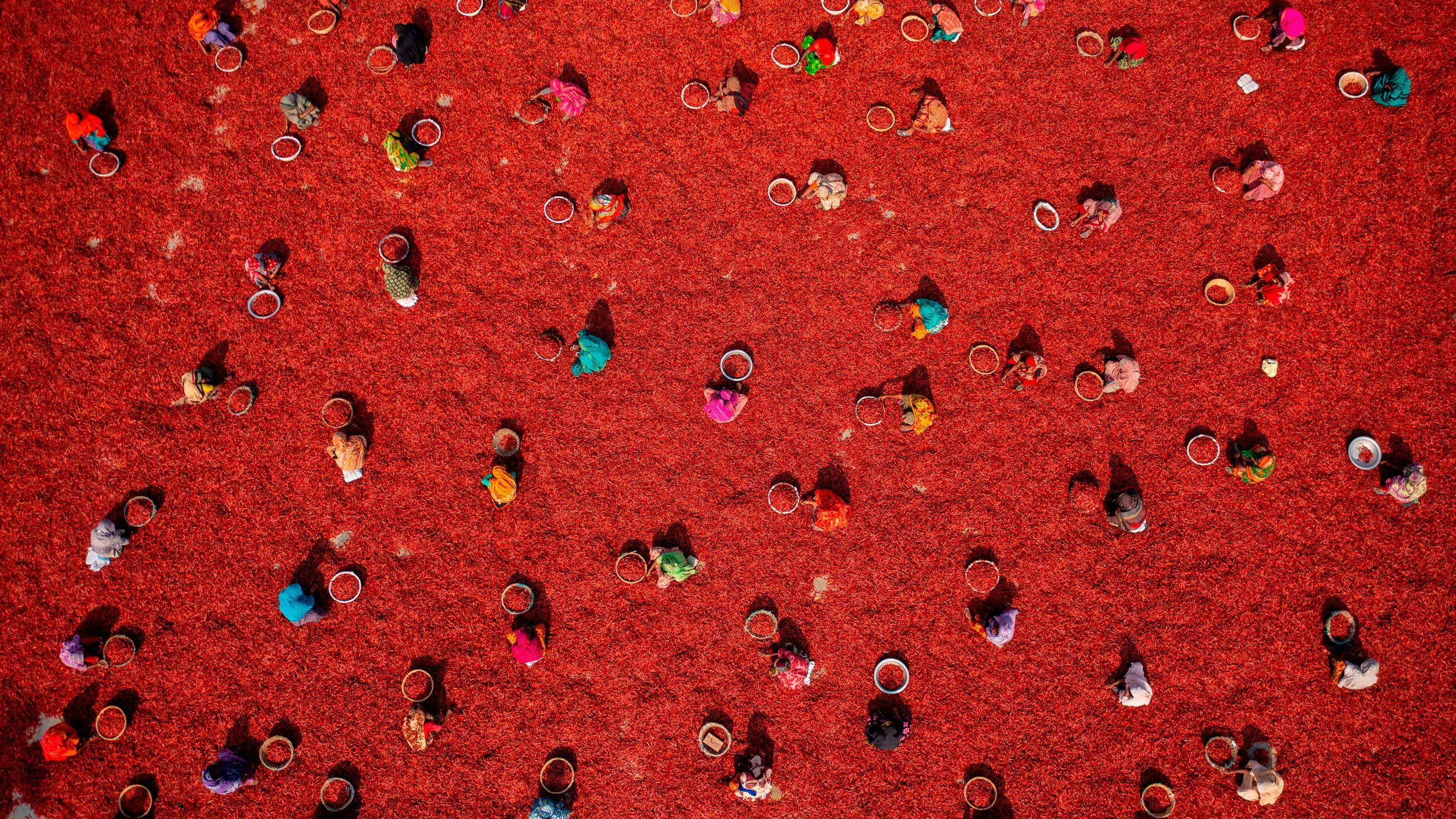You’ve never seen a chilli farm look like this: inside the vibrant winning shots of the International Aerial Photographer of the Year 2026 - TechRadar