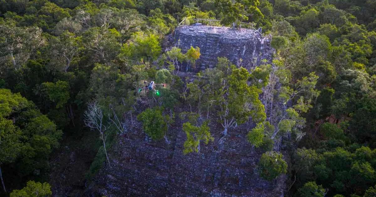DJI drone exposes hidden Maya megacities across Guatemala - DroneDJ