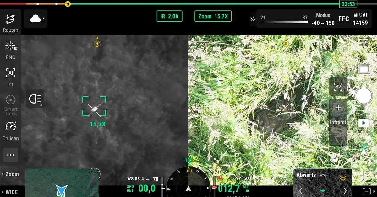 DJI’s latest wildlife success story is hard to ignore - DroneDJ
