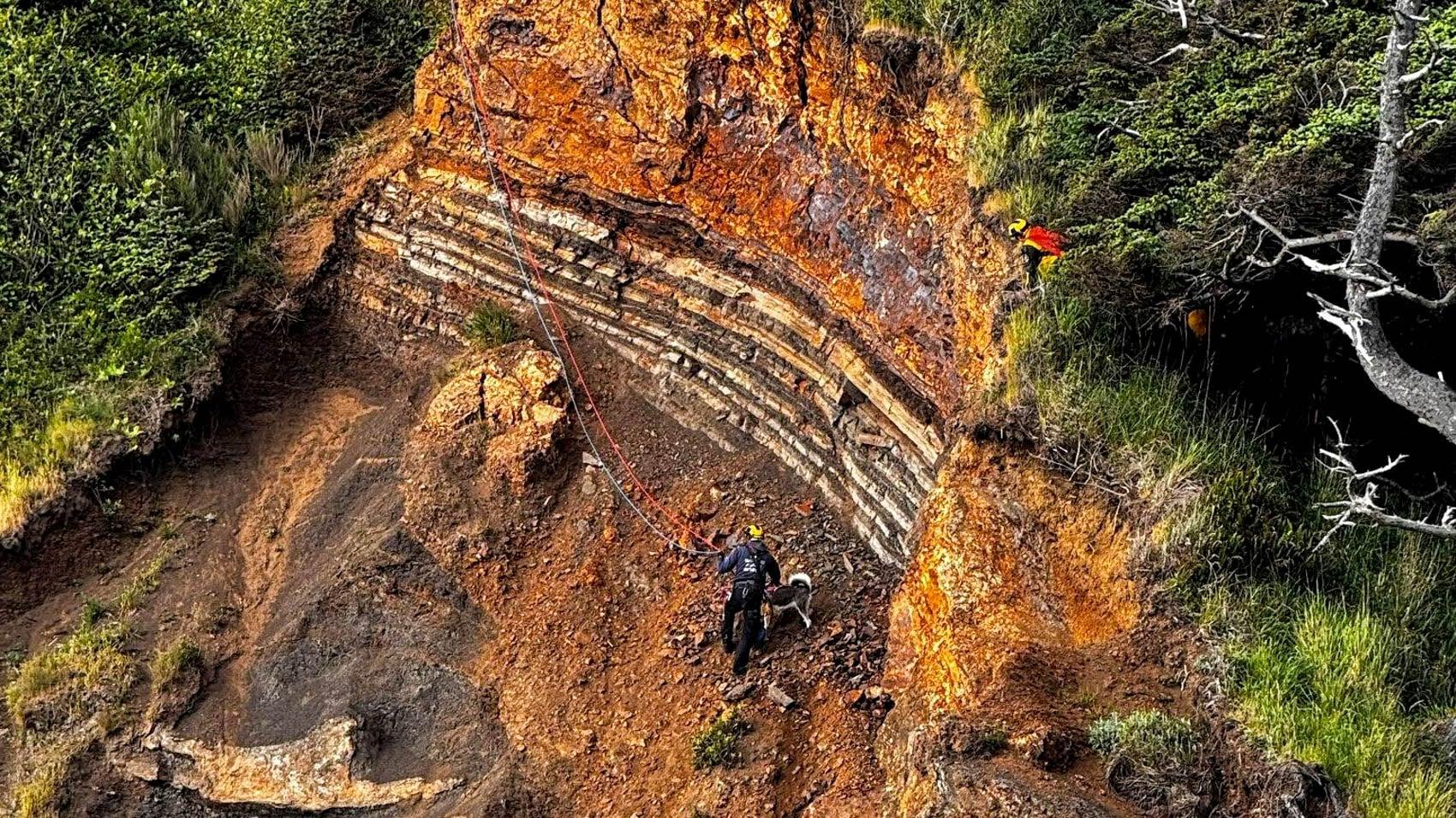A DJI Police Drone Found A Dog Stranded On An Oregon Cliff - DroneXL.co
